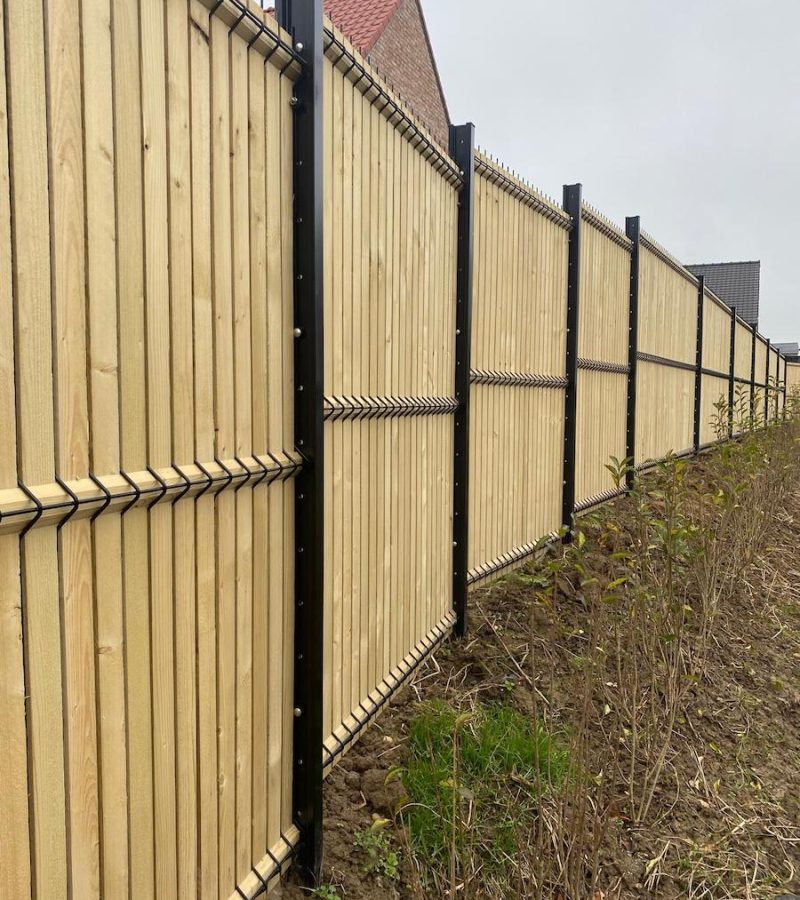 WhatsApp Image 2025-02-06 at 11.30.27 (1)